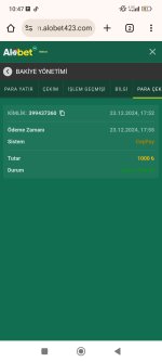 Screenshot_2024-12-24-10-47-56-859_com.android.chrome.jpg