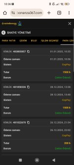 Screenshot_2025-01-01-10-36-22-112_com.android.chrome.jpg