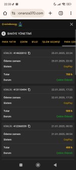 Screenshot_2025-01-25-22-33-06-465_com.android.chrome.jpg